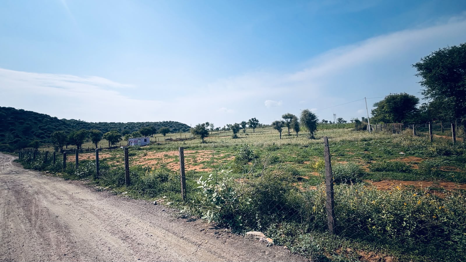 Boraj To Phulera Agricultural Land