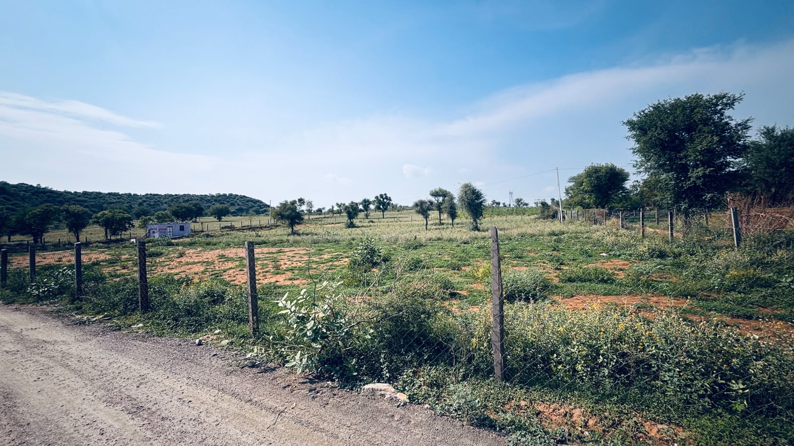 Boraj To Phulera Agricultural Land