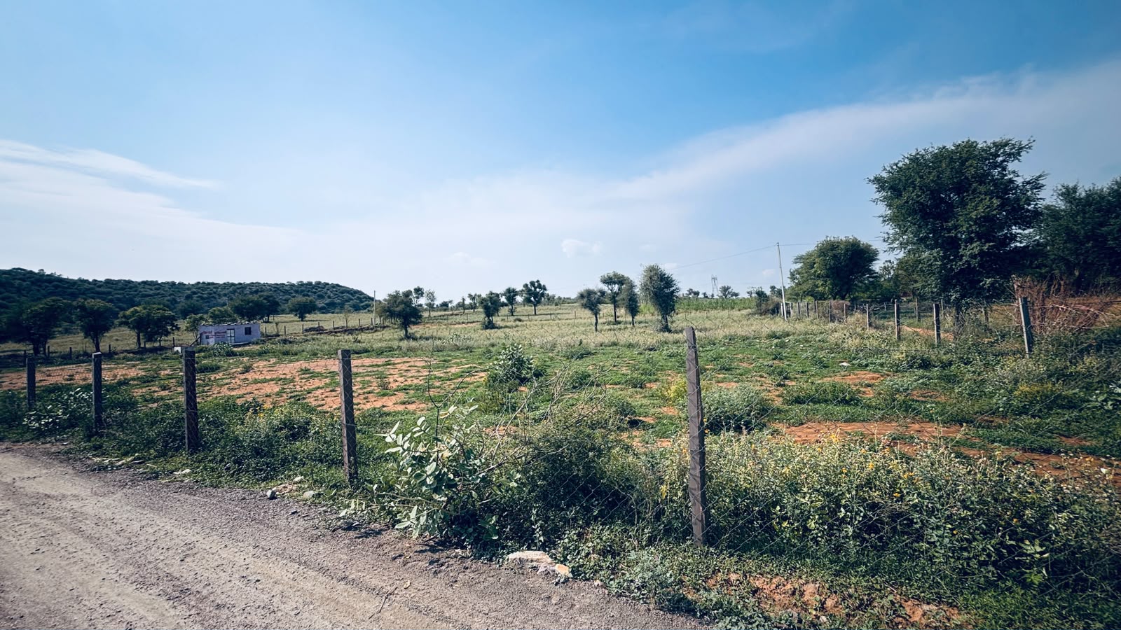 Boraj To Phulera Agricultural Land